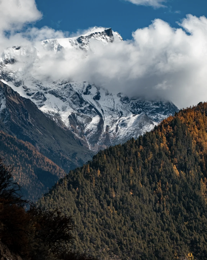 懂西藏的人，一定不會(huì)錯(cuò)過林芝的秋天