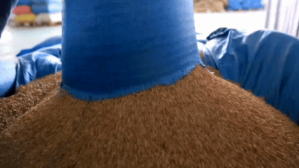 青稞“蛻變”，牦牛“出圈”！看西藏農(nóng)牧民的“十四五”豐收答卷