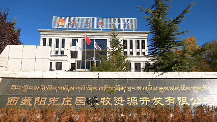 青稞“蛻變”，牦?！俺鋈Α?！看西藏農(nóng)牧民的“十四五”豐收答卷