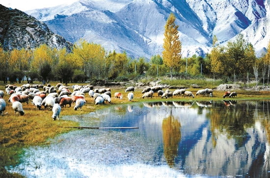 曲水縣郊外的怡人風景。 拉薩日報 平措旺堆攝.jpg