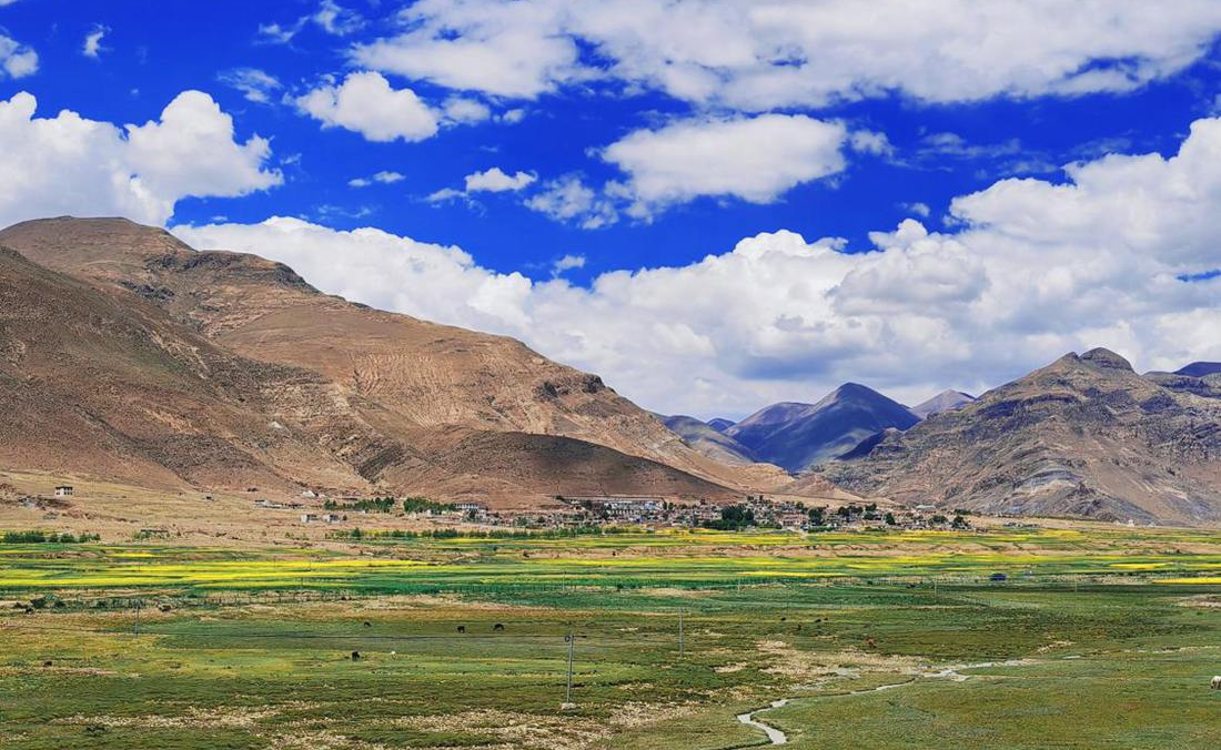 羌塘草原上的美好圖景。人民網(wǎng) 李海霞攝