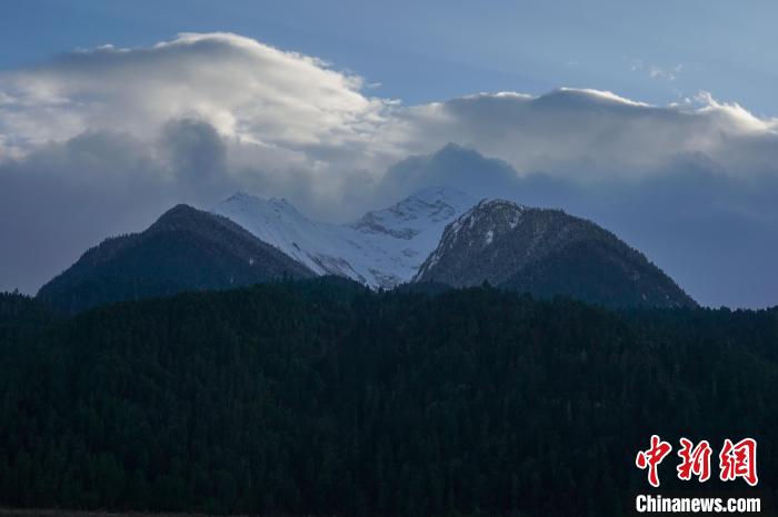 西藏波密縣的原始森林與雪山風(fēng)光?！〗w波 攝