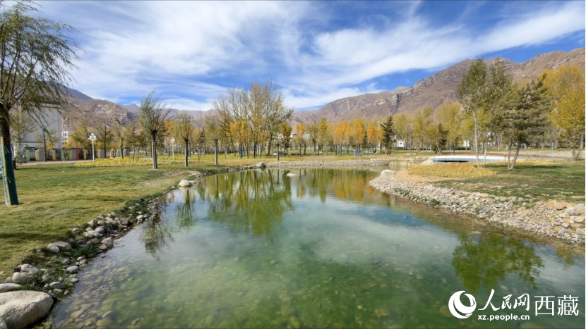 圖為青年林卡公園。人民網(wǎng)記者 次仁羅布攝