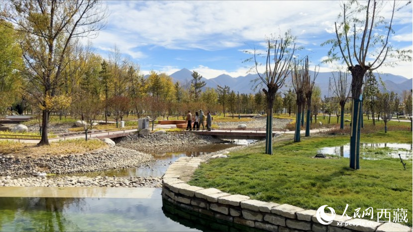 圖為青年林卡公園。人民網(wǎng)記者 次仁羅布攝