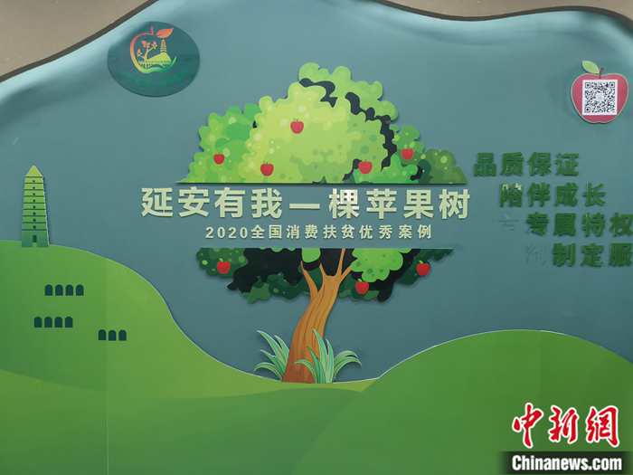 “延安有我一棵蘋果樹”。<a target='_blank'  ><p  align=