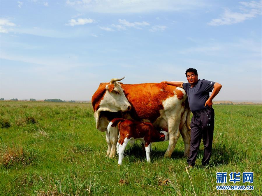 （奮斗百年路　啟航新征程·“七一勛章”獲得者·圖文互動(dòng)）（4）“草原之子”廷·巴特爾：讓草原綠起來，幫牧民富起來