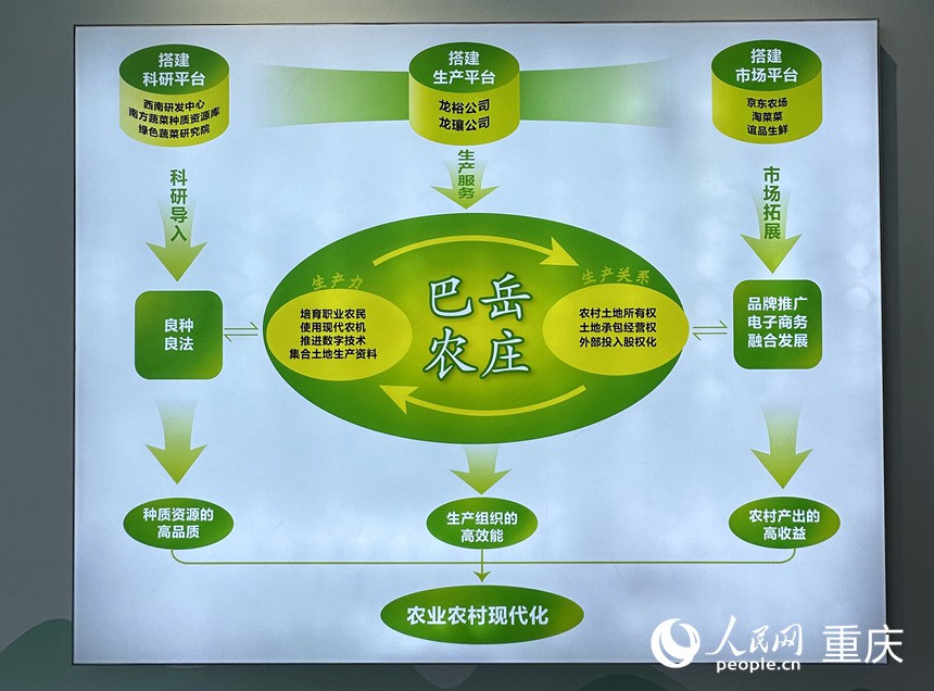 “巴岳農(nóng)莊”運(yùn)作示意圖。人民網(wǎng)記者 劉政寧攝