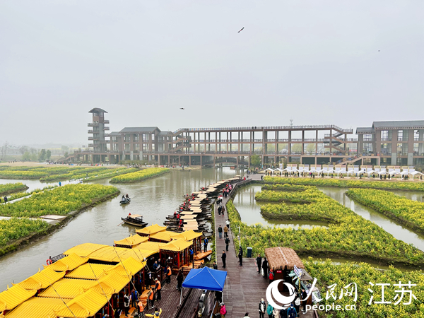興化千垛菜花旅游節(jié)期間，游客前來(lái)打卡。人民網(wǎng) 王丹丹攝
